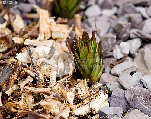 Image of Wood and Stone