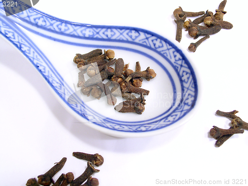 Image of Cooking spice - Clove