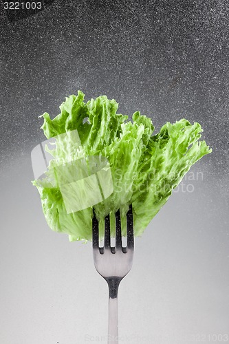 Image of Green lettuce leaves on a fork 