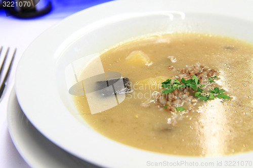 Image of mushrooms soup 