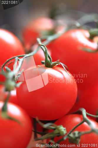 Image of tomatoes background