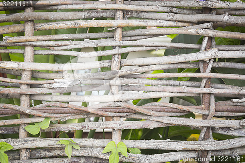 Image of Abstract of Woven Branch Decorative Thatch Work Fence