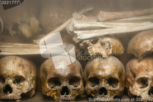 Image of Human Bones at Tuol Sleng Genocide Museum in Cambodia