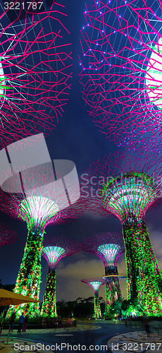 Image of Colorful Illuminated Towers of Gardens by the Bay in Singapore