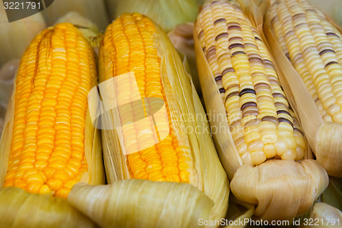 Image of Corn on the Cob for Sale at Vendor\'s Stall