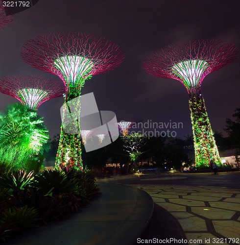 Image of Colorful Lights from Towers of Gardens by the Bay in Singapore