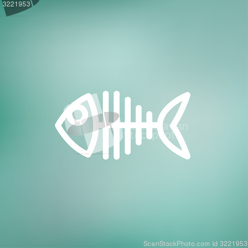 Image of Fish skeleton thin line icon