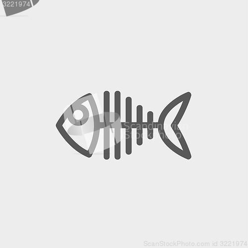Image of Fish skeleton thin line icon