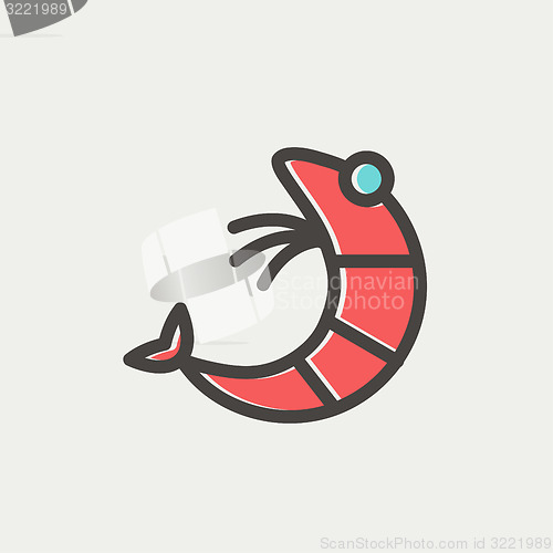 Image of Shrimp thin line icon