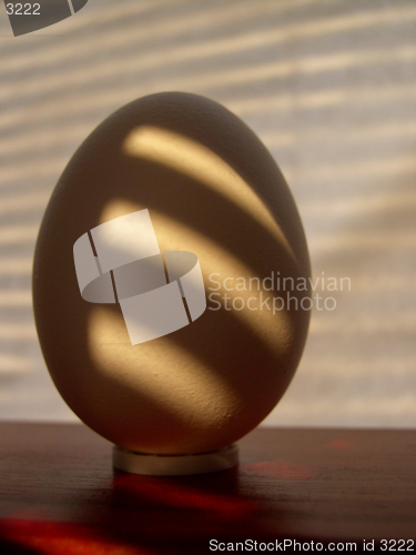 Image of Egg in shadow
