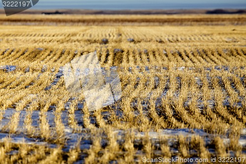 Image of Prairie Landscape in winter