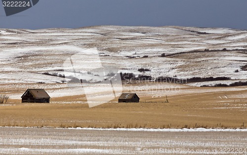 Image of Prairie Landscape in winter