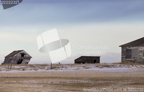 Image of Prairie Landscape in winter