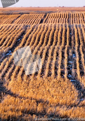 Image of Prairie Landscape in winter