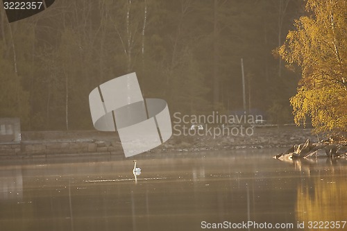 Image of mist over water