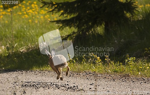 Image of running away