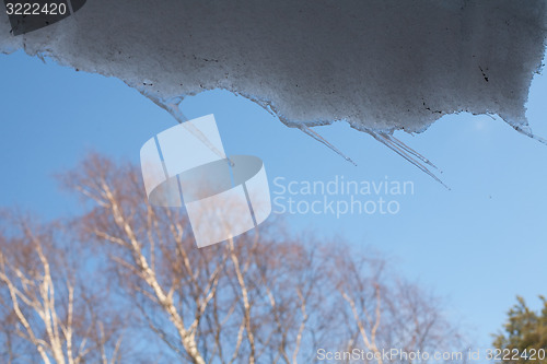 Image of spring icicles