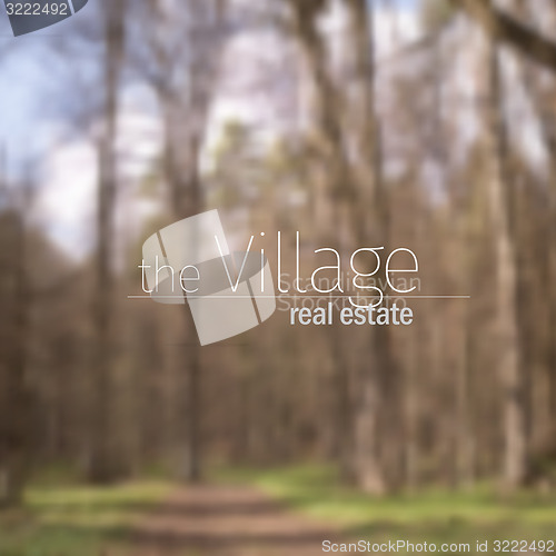 Image of Vector blurred forest background.