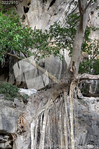 Image of THAILAND KRABI