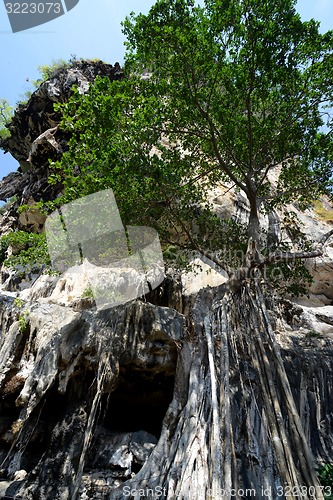 Image of THAILAND KRABI