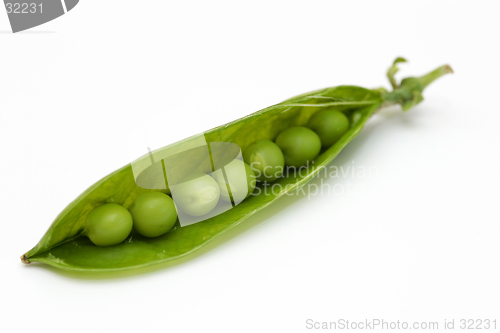 Image of Like Peas in a Pod