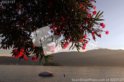 Image of EUROPE ITALY LAGO MAGGIORE