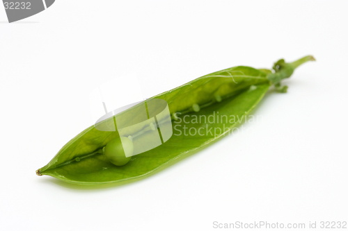 Image of Single Pea in a Pod