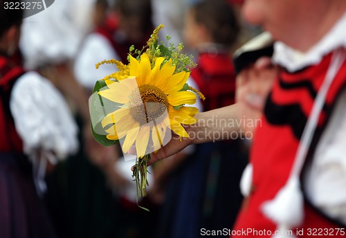 Image of EUROPE GERMANY BLACKFOREST 