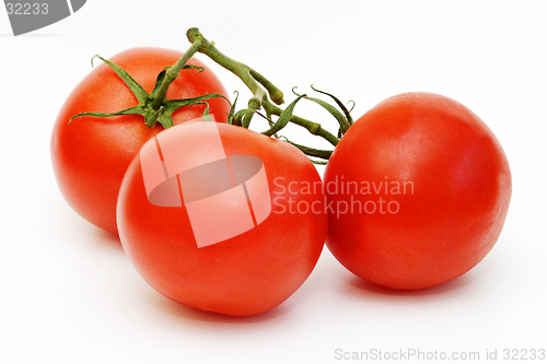 Image of Three Tomatos