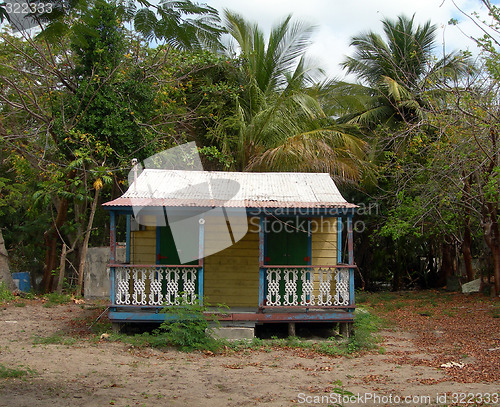 Image of native island home