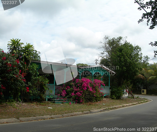 Image of native island home