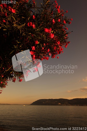 Image of EUROPE ITALY LAGO MAGGIORE