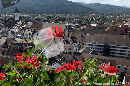 Image of EUROPE GERMANY BLACKFOREST 