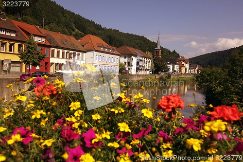 Image of EUROPE GERMANY BLACKFOREST 