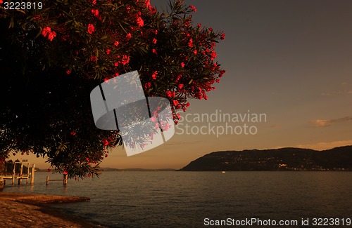 Image of EUROPE ITALY LAGO MAGGIORE