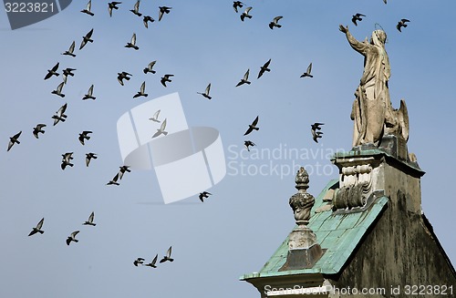 Image of EUROPE ITALY LAGO MAGGIORE