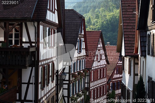 Image of EUROPE GERMANY BLACKFOREST 