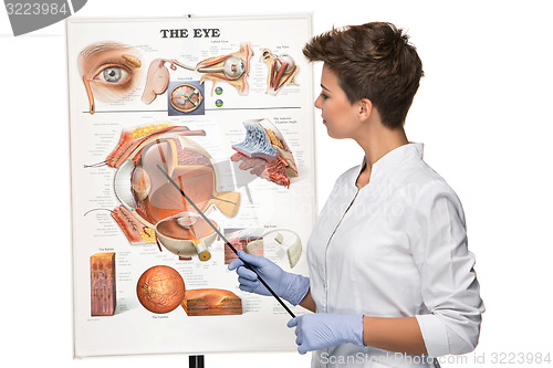 Image of Optician or oculist woman tells about structure of the eye