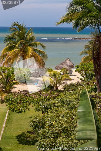 Image of tropical garden and  the ocean beach