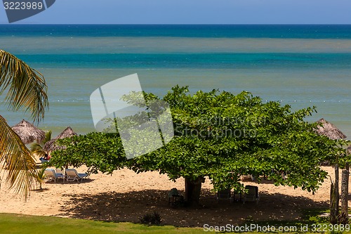 Image of tropical garden and  the ocean beach