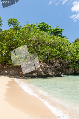 Image of Beach on tropical island. Clear blue water, sand, bush. 