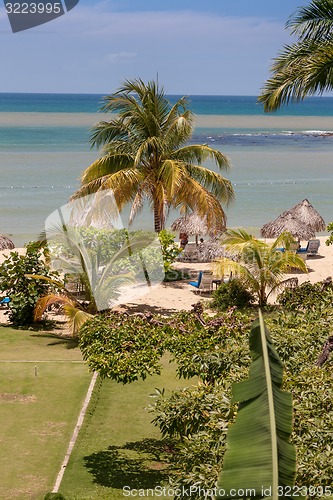 Image of tropical garden and  the ocean beach