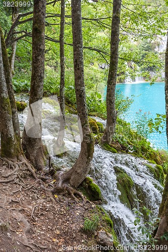 Image of Plitvice lakes of Croatia 