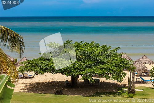 Image of tropical garden and  the ocean beach