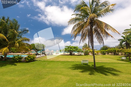 Image of tropical garden and  the ocean beach