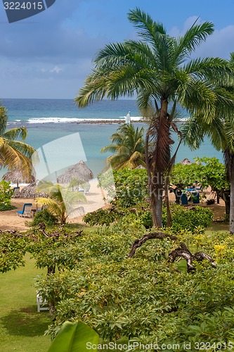 Image of tropical garden and  the ocean beach