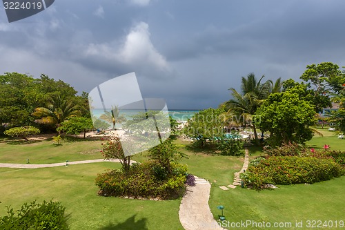 Image of tropical garden with flowers and road to beach