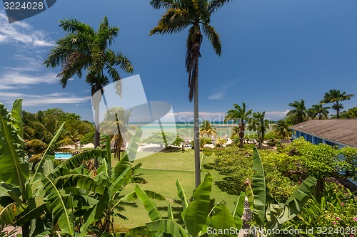 Image of tropical garden with flowers and beach