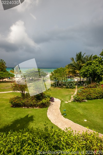 Image of tropical garden with flowers and road to beach