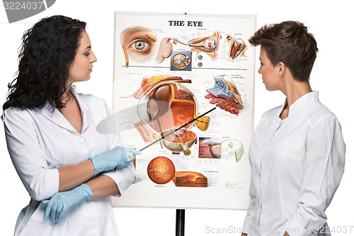 Image of two optician or oculist women telling about structure of the eye